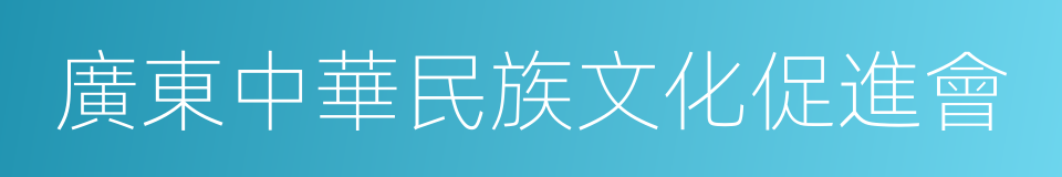 廣東中華民族文化促進會的同義詞