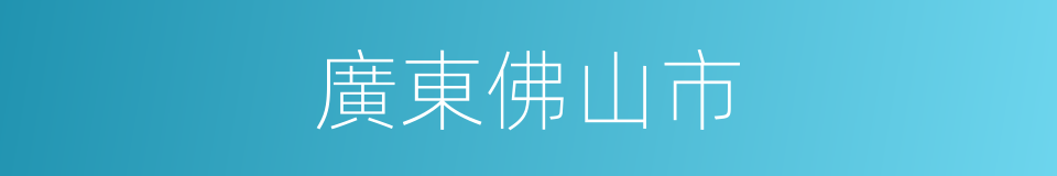 廣東佛山市的同義詞