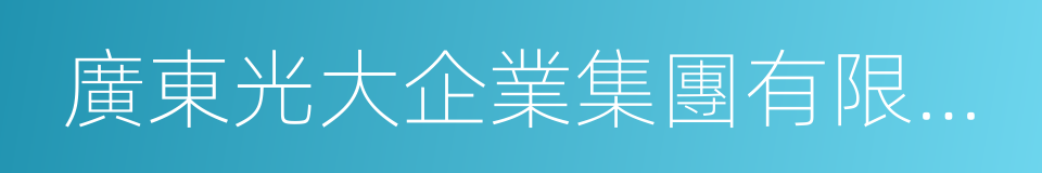 廣東光大企業集團有限公司的同義詞