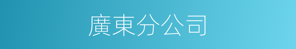 廣東分公司的同義詞