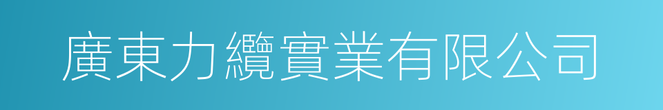 廣東力纜實業有限公司的同義詞