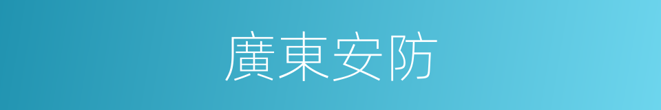 廣東安防的同義詞