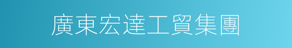 廣東宏達工貿集團的同義詞