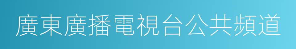 廣東廣播電視台公共頻道的同義詞