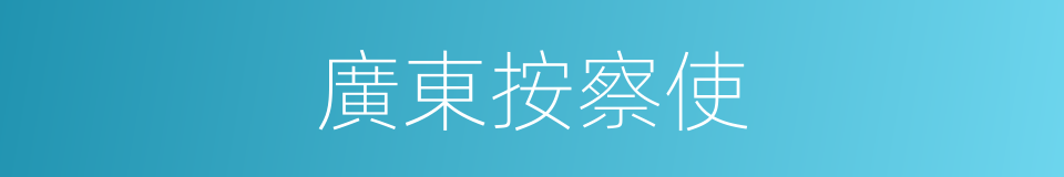 廣東按察使的同義詞