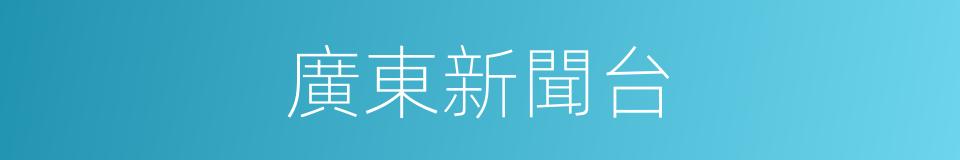 廣東新聞台的同義詞