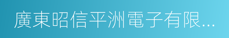 廣東昭信平洲電子有限公司的同義詞