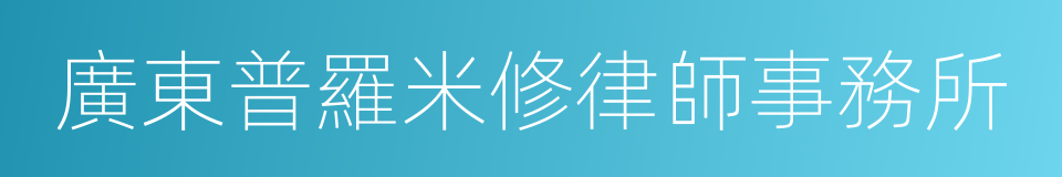 廣東普羅米修律師事務所的同義詞