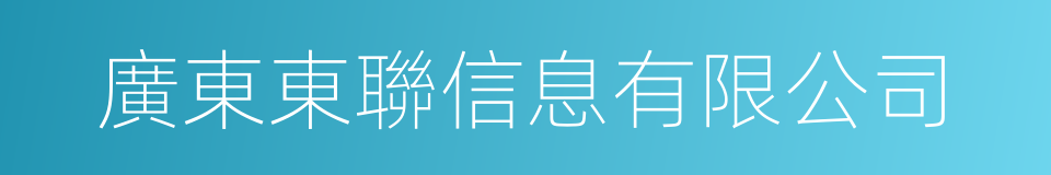 廣東東聯信息有限公司的同義詞