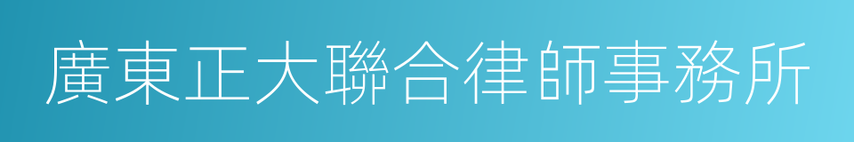 廣東正大聯合律師事務所的同義詞