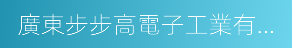 廣東步步高電子工業有限公司的同義詞