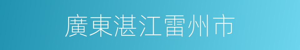 廣東湛江雷州市的同義詞