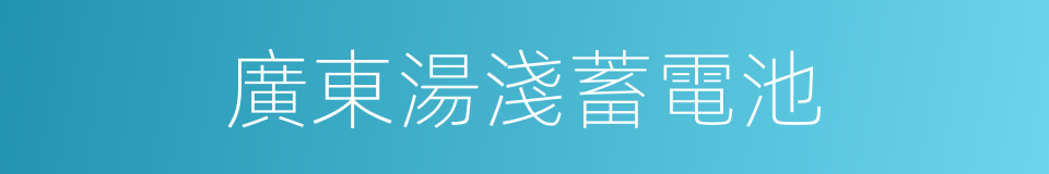 廣東湯淺蓄電池的同義詞