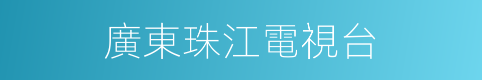 廣東珠江電視台的同義詞