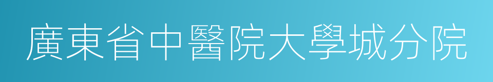 廣東省中醫院大學城分院的同義詞