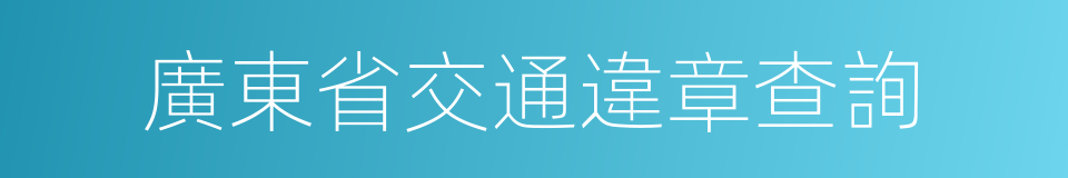 廣東省交通違章查詢的同義詞