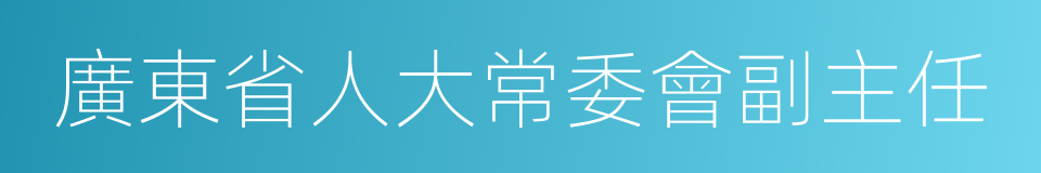 廣東省人大常委會副主任的同義詞