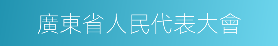 廣東省人民代表大會的同義詞