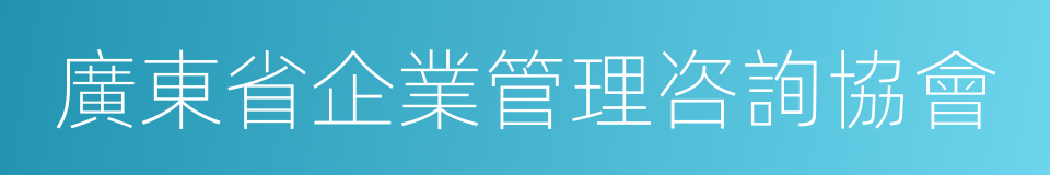 廣東省企業管理咨詢協會的同義詞