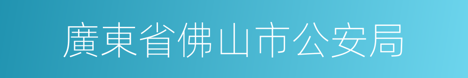 廣東省佛山市公安局的同義詞