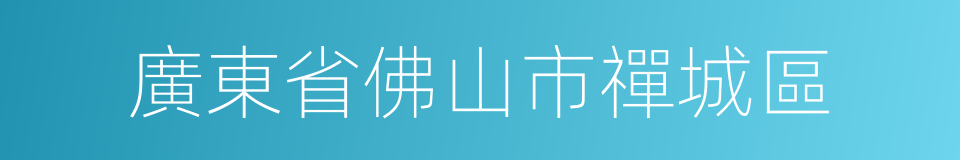 廣東省佛山市禪城區的同義詞