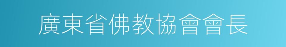 廣東省佛教協會會長的同義詞