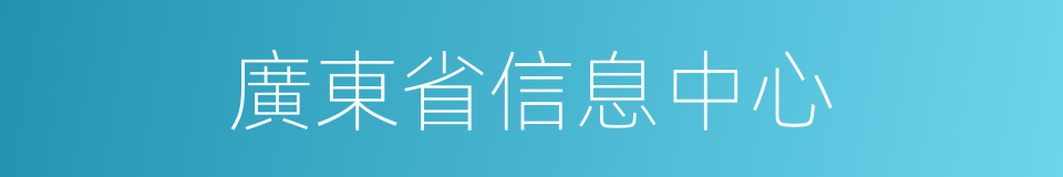 廣東省信息中心的同義詞