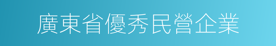 廣東省優秀民營企業的同義詞