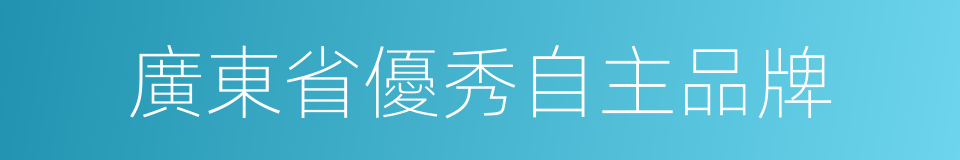 廣東省優秀自主品牌的同義詞