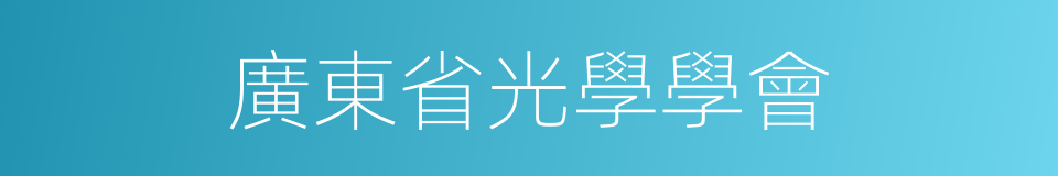 廣東省光學學會的同義詞