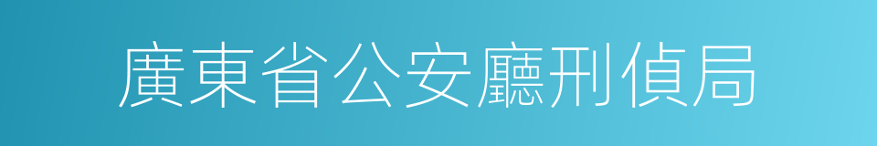 廣東省公安廳刑偵局的同義詞