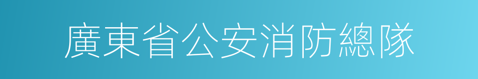 廣東省公安消防總隊的同義詞