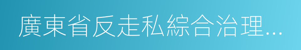 廣東省反走私綜合治理條例的同義詞