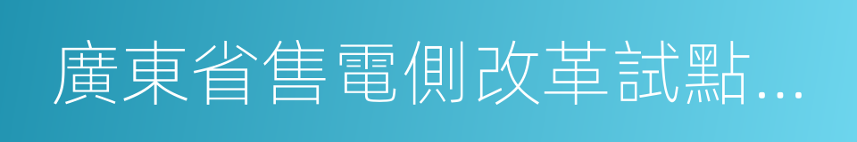 廣東省售電側改革試點實施方案的同義詞