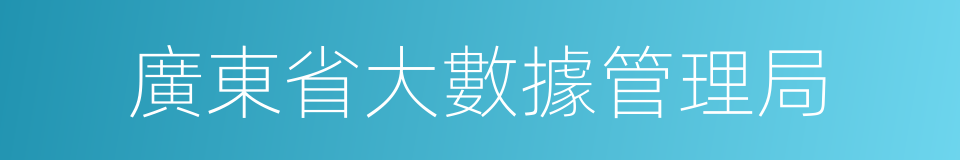 廣東省大數據管理局的同義詞