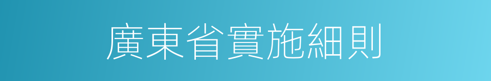 廣東省實施細則的同義詞