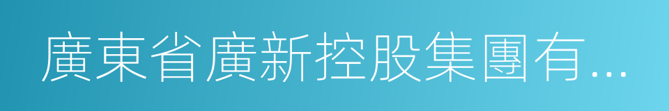 廣東省廣新控股集團有限公司的同義詞