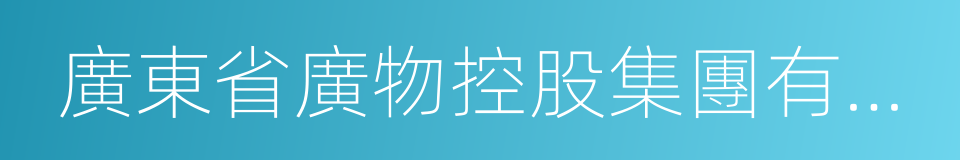 廣東省廣物控股集團有限公司的同義詞