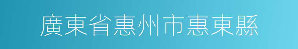 廣東省惠州市惠東縣的同義詞