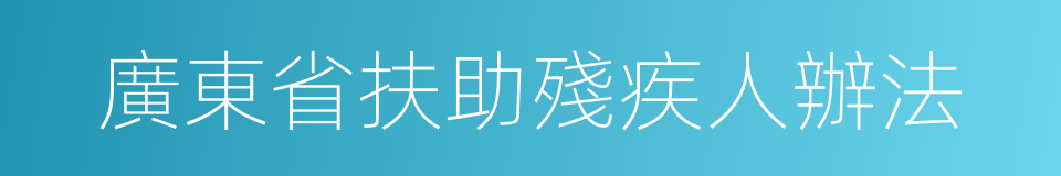 廣東省扶助殘疾人辦法的同義詞