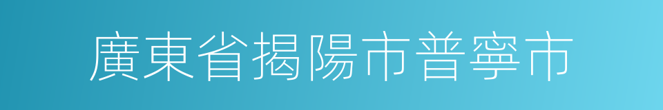 廣東省揭陽市普寧市的同義詞