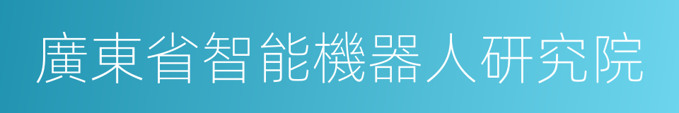 廣東省智能機器人研究院的意思