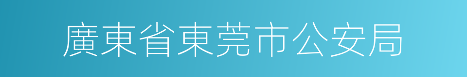 廣東省東莞市公安局的同義詞