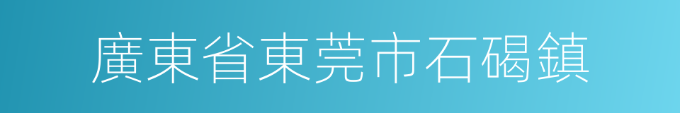 廣東省東莞市石碣鎮的同義詞