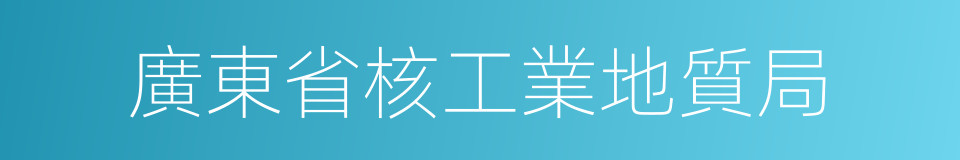 廣東省核工業地質局的同義詞