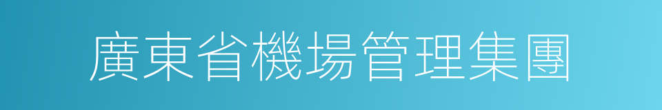 廣東省機場管理集團的同義詞