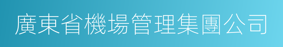 廣東省機場管理集團公司的同義詞