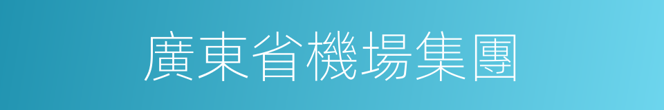 廣東省機場集團的同義詞