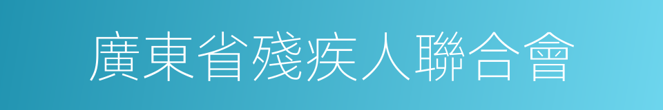 廣東省殘疾人聯合會的同義詞