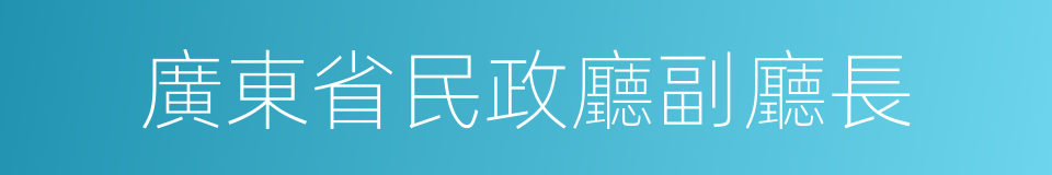 廣東省民政廳副廳長的同義詞